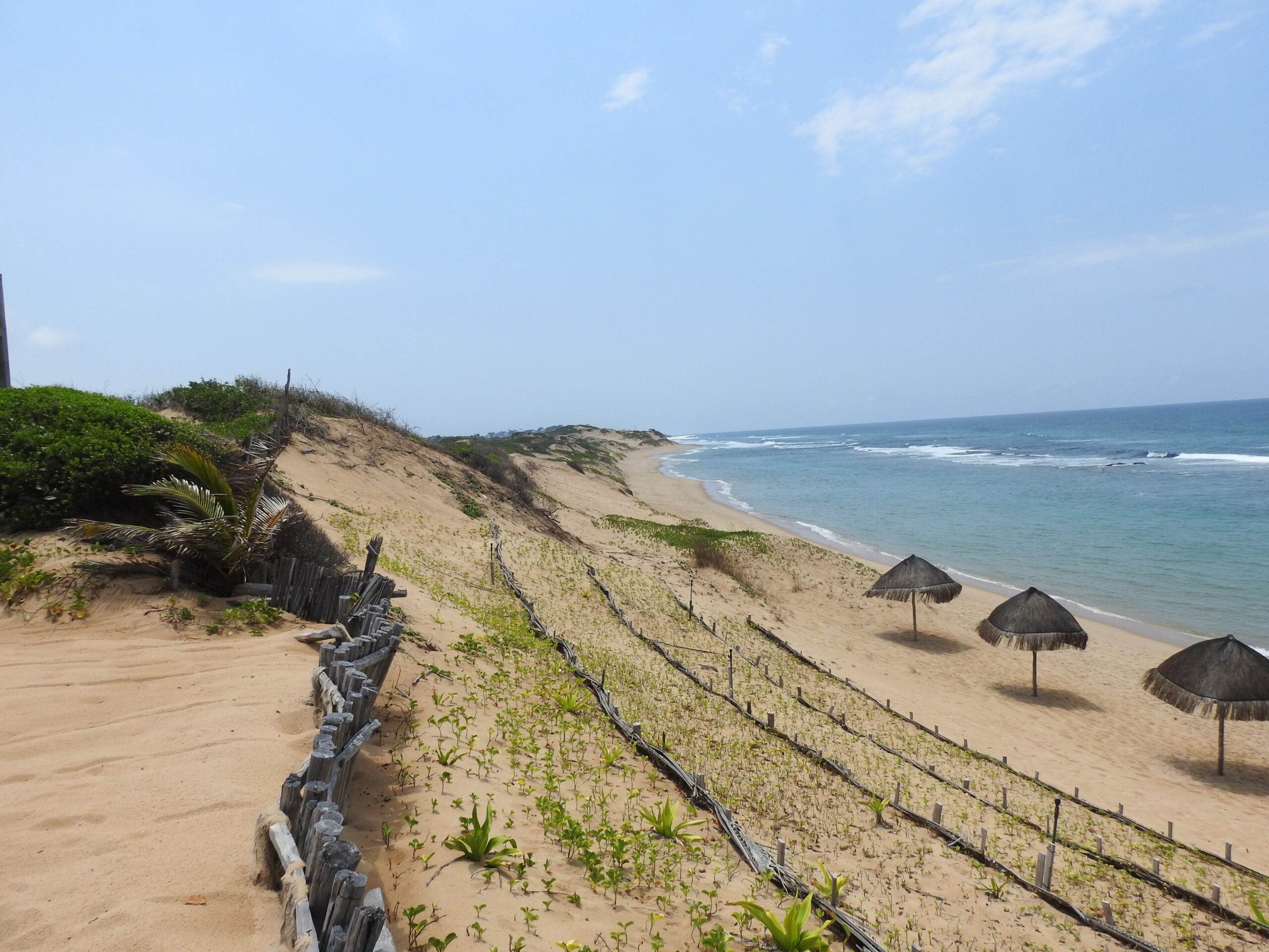 Tofo Beach